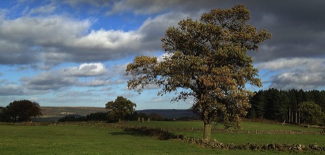 Nine Stones stone circle from Robin Hood's Stride